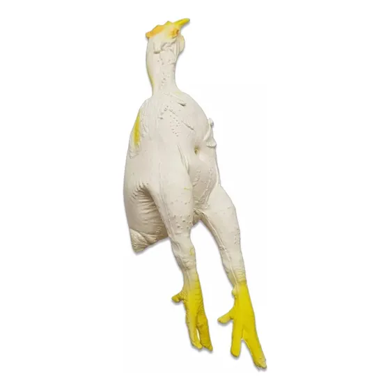 Brinquedo Para Cães E Gatos Frango Em Latex Atóxico Textoy
