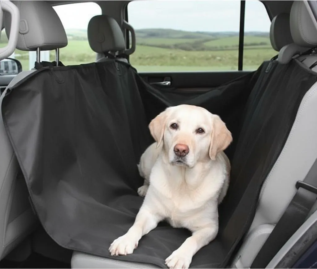 Capa Aberta Protetora Carros Com Cinto De Segurança G